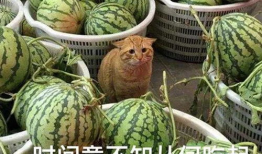 最新河北吃瓜视频爆料,揭秘幕后真相，网友热议不断